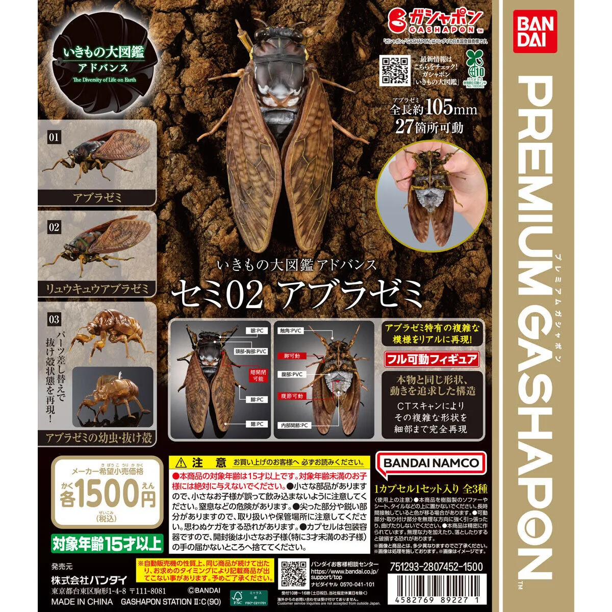 いきもの大図鑑アドバンス セミ02 アブラゼミ