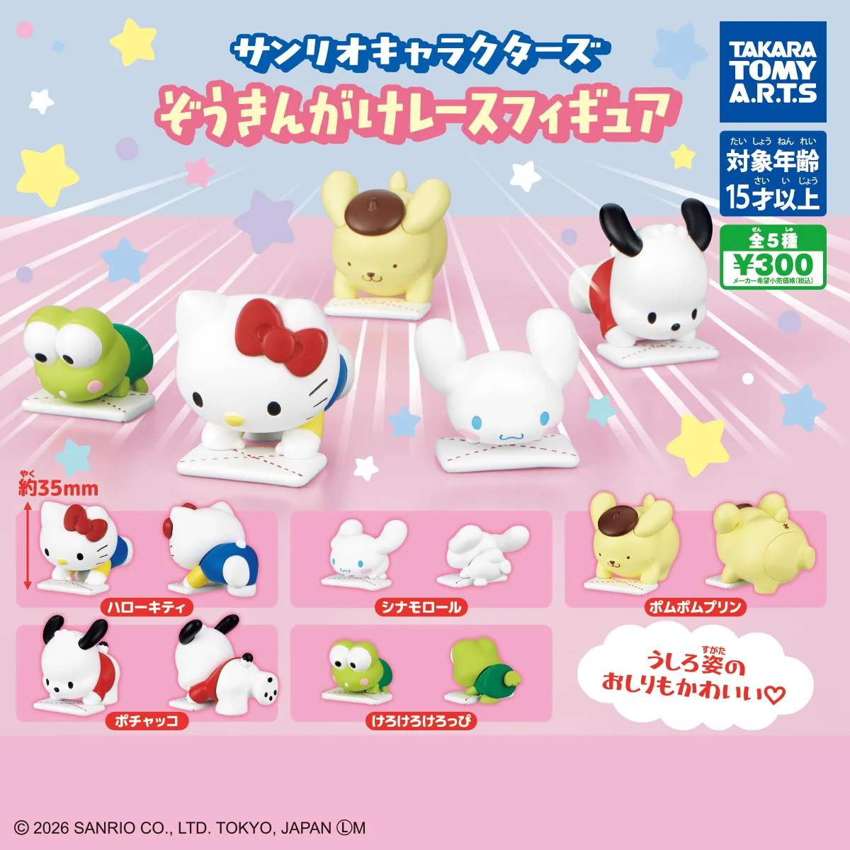 サンリオキャラクターズ ぞうきんがけレースフィギュア（サンリオ フィギュア）