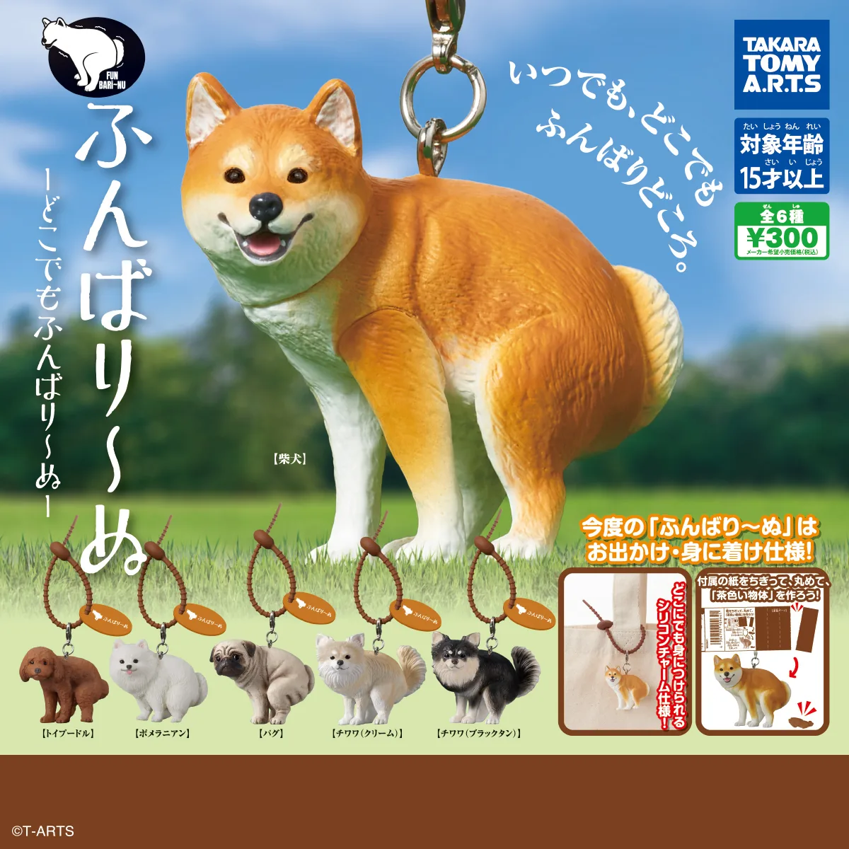 ふんばり～ぬ -どこでもふんばり～ぬ-